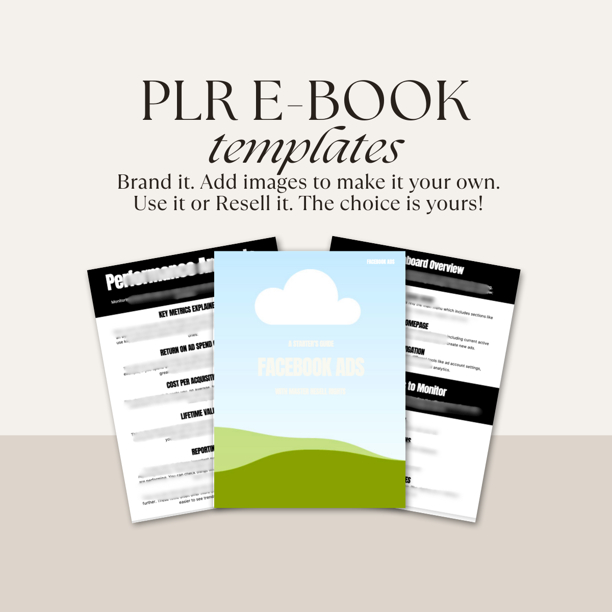 E-book PLR: Um guia inicial Anúncios do Facebook SEM IMAGENS
